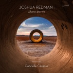 Joshua Redman - Chicago Blues (feat. Gabrielle Cavassa)