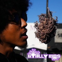 Natrully Herbs (feat. Dasan the Medicine Man) - Single - Kyle James