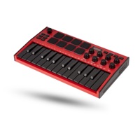 pineapple the project - Praying For You