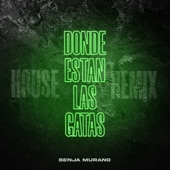 Dónde Están Las Gatas (House Remix) artwork
