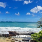 Beauty - Single