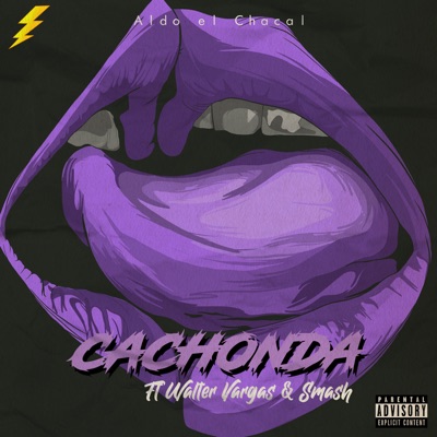 Cachonda (feat. Walter Vargas & DJ SMASH) - Single