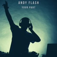 Your Part - Single - Andy Flash