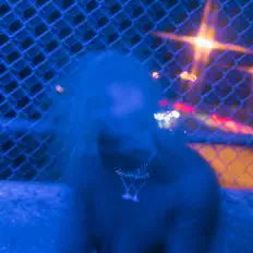 收听 Tootie Neutron、观看音乐视频、阅读小传、查看巡演日期等 ！