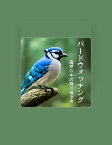鳥の冒険 dinle, müzik videolarını izle, biyografisini oku, tur tarihlerini ve daha fazlasını gör!