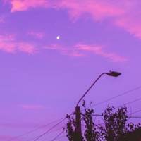 Purpurvågor - Single - Rytmdesign