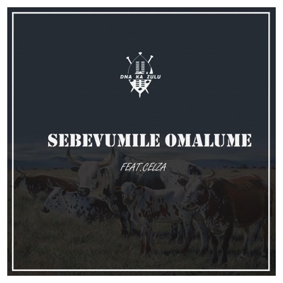 Sebevumile Omalume (feat. Celza) - Single