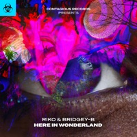 Here in Wonderland - Single - Riko & Bridgey-B