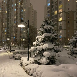 мечты Mooni