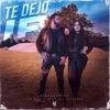 Te Dejo Ir - Single