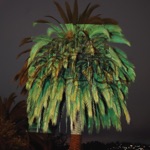 Watkins / Peacock - Hope