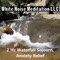 2hz Waterfall Sojourn: Anxiety Relief - White Noise Meditation LLC lyrics