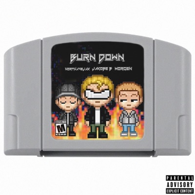 Burn Down - Single