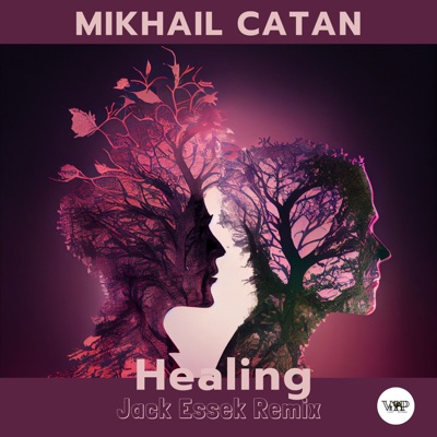 Healing (Jack Essek Remix) - Single