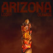Arizona artwork