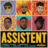 Assistent (feat. Kalibwoy & Marver) artwork