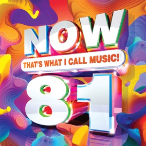 NOW That's What I Call Music! Vol. 81