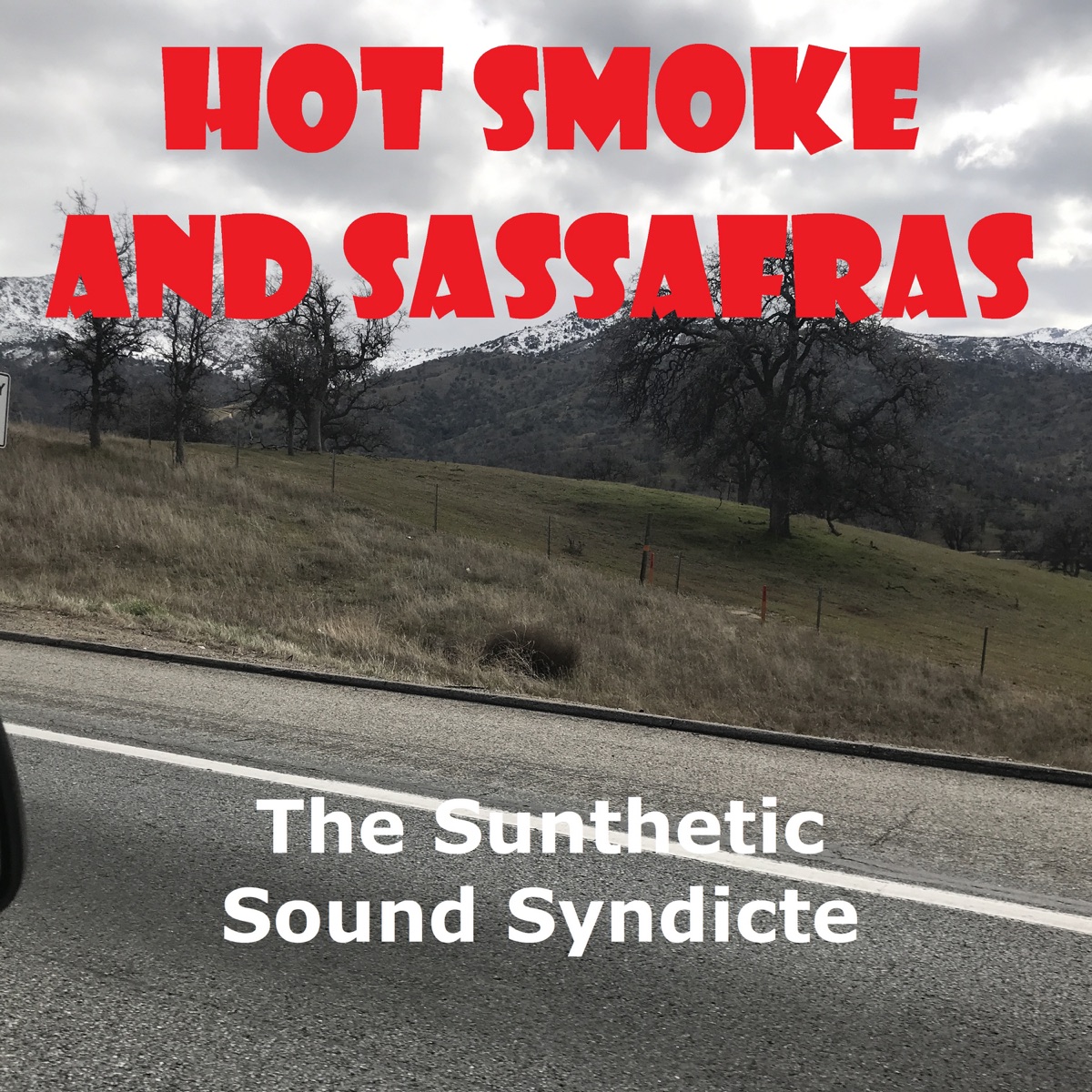 Hot Smoke and Sassafras - Single - Album by The Synthetic Sound Syndicate -  Apple Music