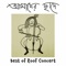 Ami Shanto (feat. Prosen) - Aamader Chaade: Best of Roof Concert 2022 lyrics