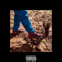 Sunrise - Single - Cego Menz & The Locust