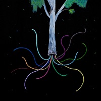 EUCALIPTO - Yacare Manso