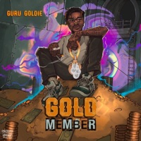 Goldmember - Guru Goldie