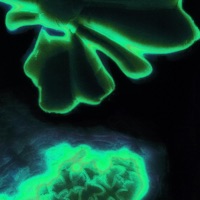 100 Roundz - Single - Teaz