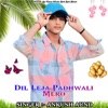 Dil Leja Padhwali Mero - Single