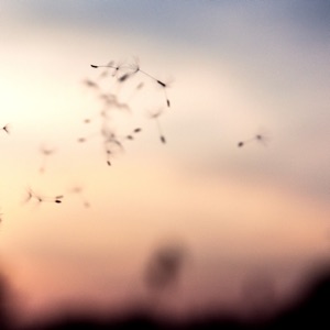 Cinder Red Sky - Single