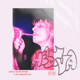 HELLUVA (feat. HELYNN D11V11NE) Breeo