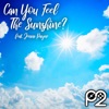 Can You Feel the Sunshine? - Single