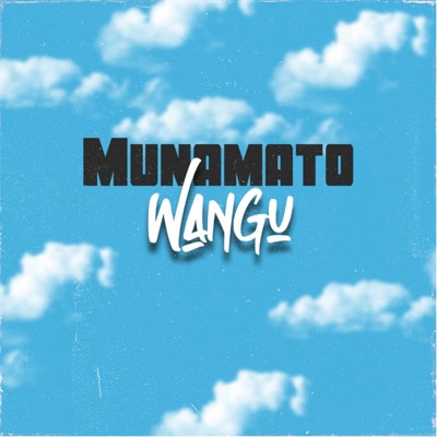 Munamato Wangu - Single