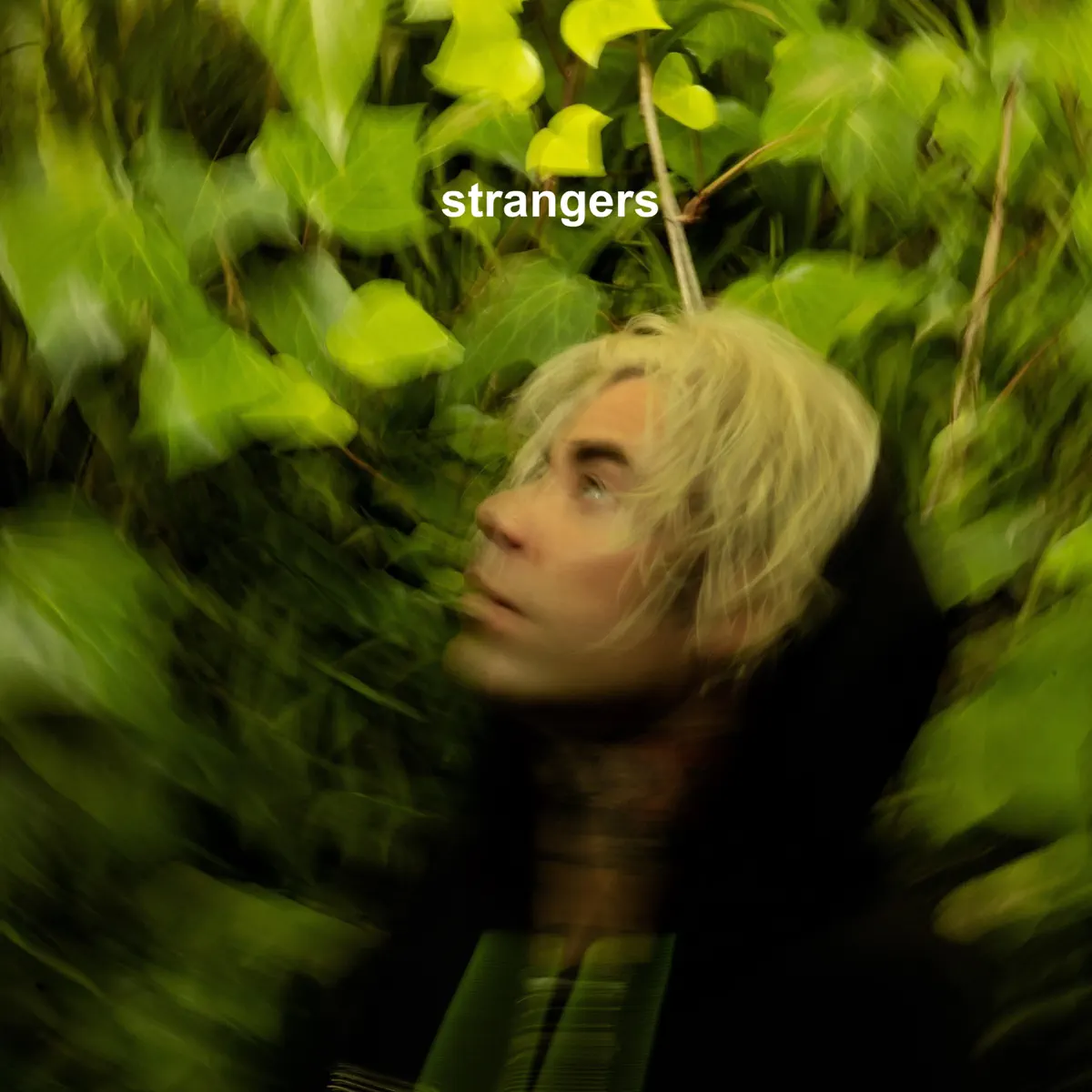 MOD SUN - Strangers - Single (2023) [iTunes Plus AAC M4A]-新房子