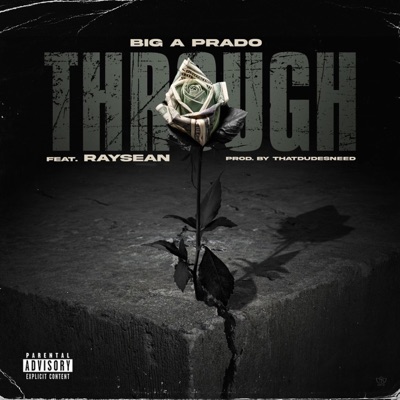 Through (feat. RaySean) - Single