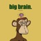 big brain. (feat. Hope) - Balthasar lyrics