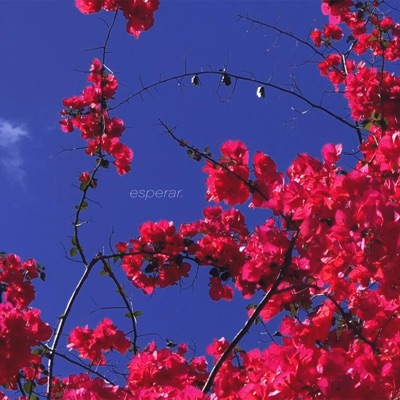 ESPERAR - Single