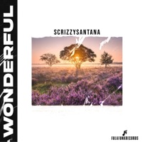 WONDERFUL (feat. ScrizzySantana) - Single - Fula Funk