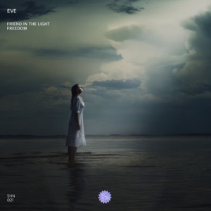 Friend in the Light - Single