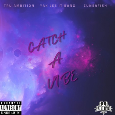 Catch a Vibe - Single