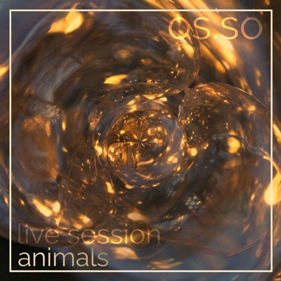 Animals (live session) - Single