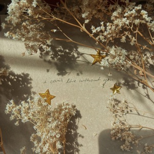 I can’t live without you (feat. Charlie Oriain) - Single