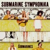 The Submarines