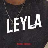 Leyla artwork