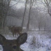 Home - Single - clvrr!