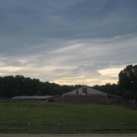 clairvoyant - Single - P4rkr