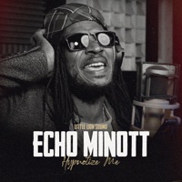 Hypnotize Me - Single - Echo Minott & Little Lion Sound