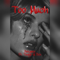 Too Much (feat. Trayo & Dex) - Single - Prhymex