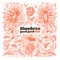 Canasta (Late Bird Version) - Blundetto lyrics