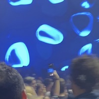 GaskeineKippe (feat. Brad Litt & xxPac) - Single - Abayomi