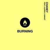 Burning (feat. Lauren L'aimant) artwork